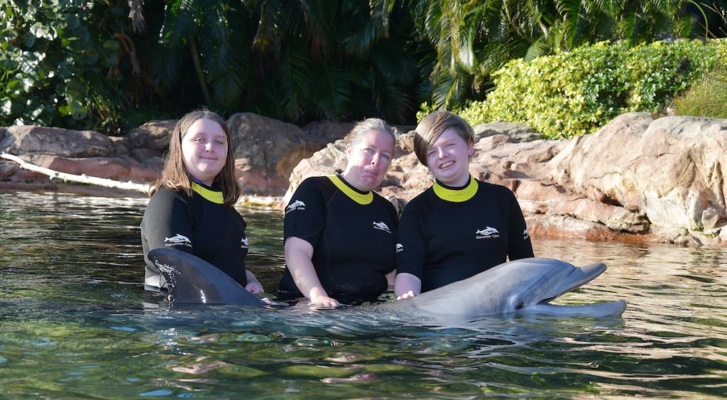 woman and kids standing in water with dolphins 