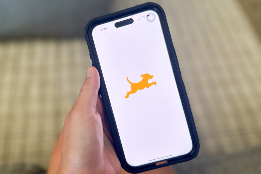 fetch rewards app launch screen