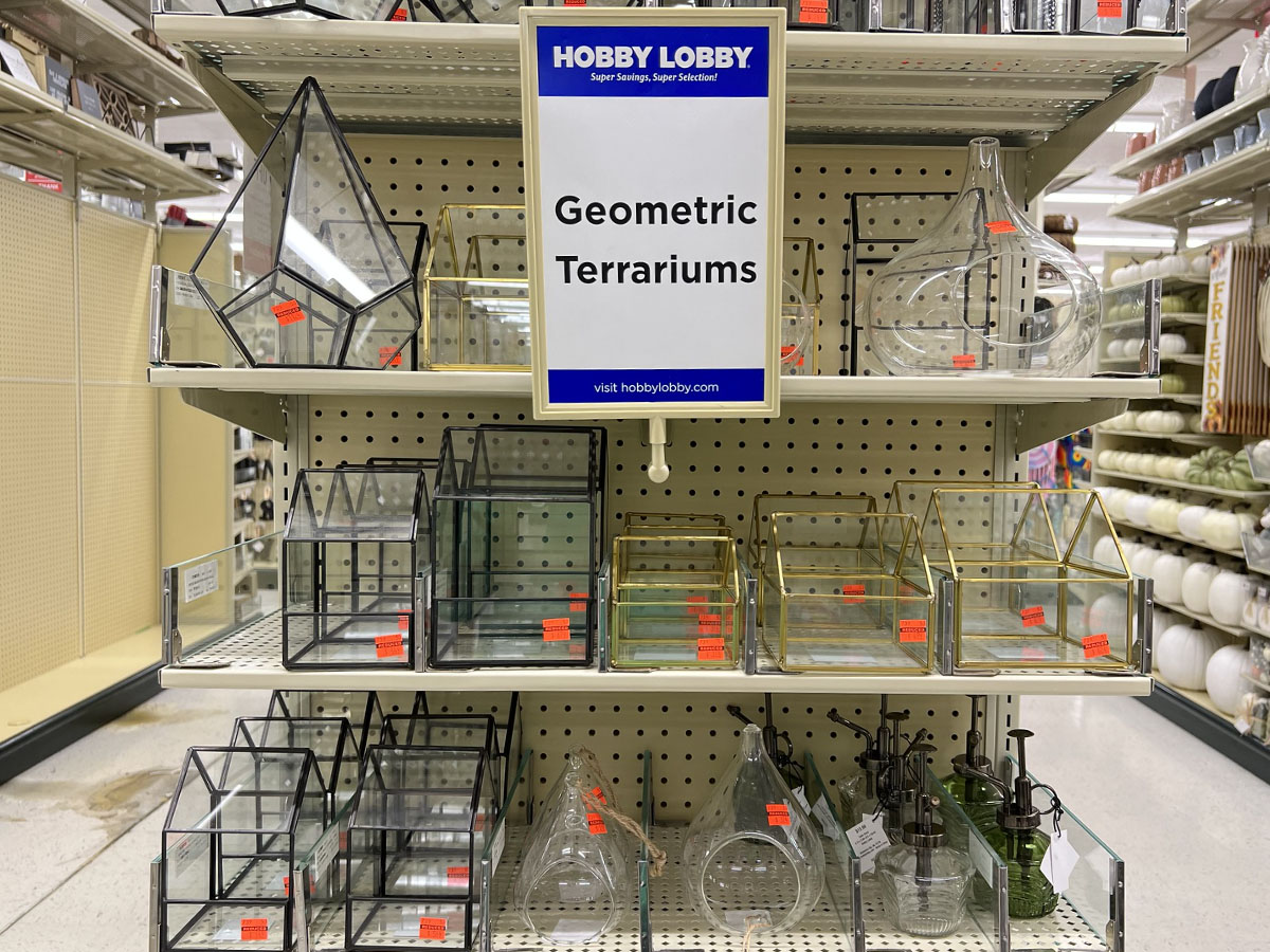shelf display of geometric terrariums