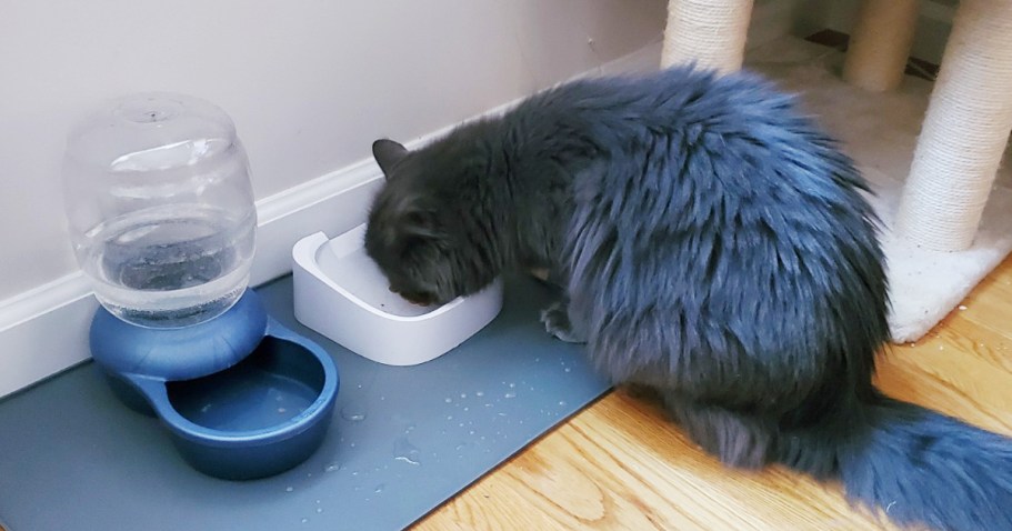 Gorilla Grip Silicone Pet Feeding Mat Just $7 on Amazon | Durable & Dishwasher-Safe