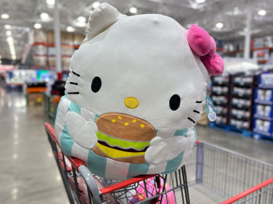 hello kitty with burger in hand in Costco cart