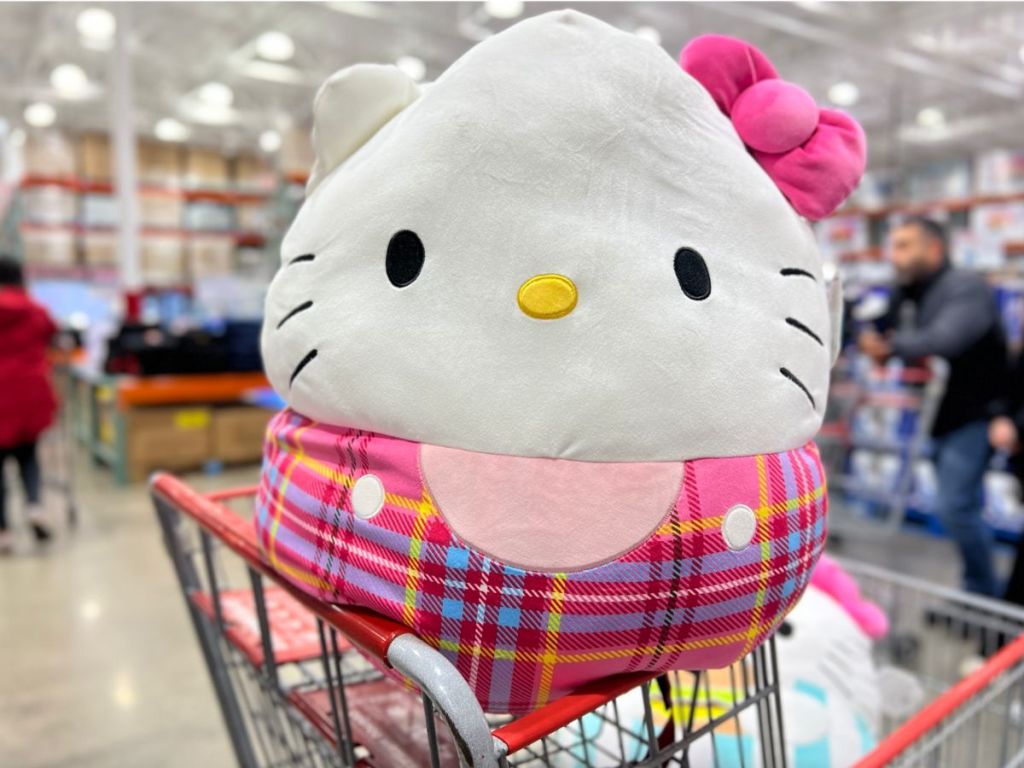 hello kitty with pink plaid in Costco cart