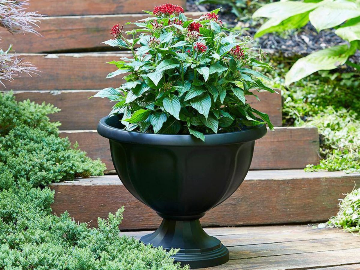 black pot with plant in it with stairs in background