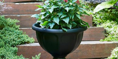 Large Planters Only $4.98 w/ Free Store Pickup at Home Depot