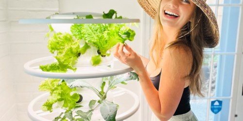 I’ve Used the Lettuce Grow Hydroponic Garden for 6 Months (Here’s My Honest Review + Exclusive Discount!)
