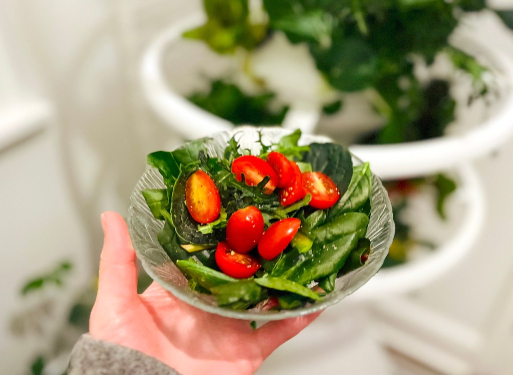 hand holding salad with red cherry tomatoes