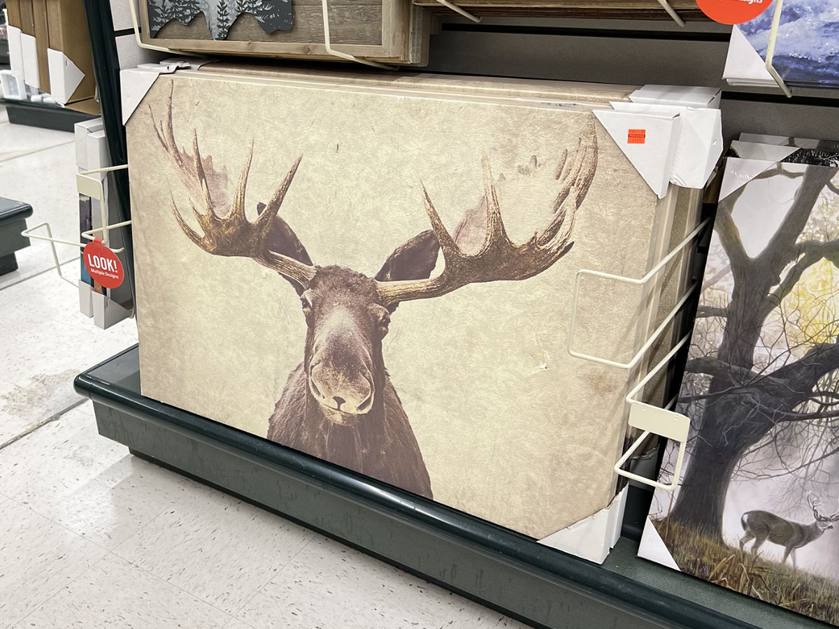 large wall moose decor on shelf