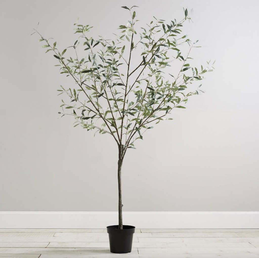 faux olive tree in black planter 