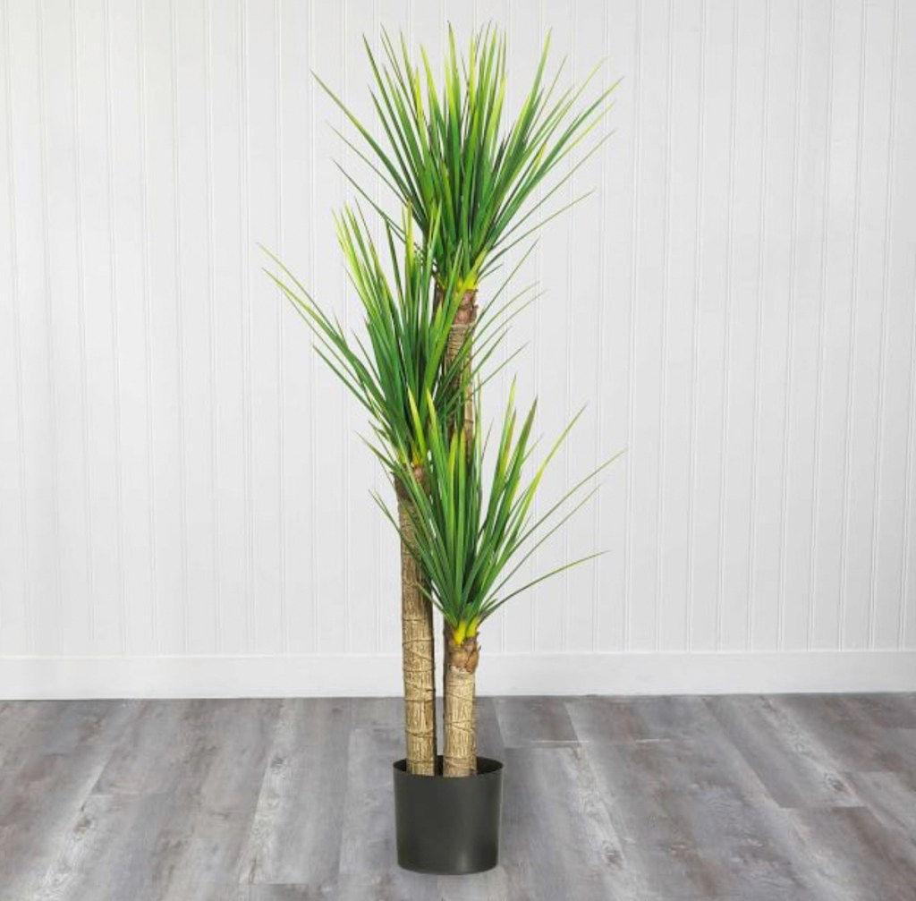 faux yucca plant in black planter on wood floor 