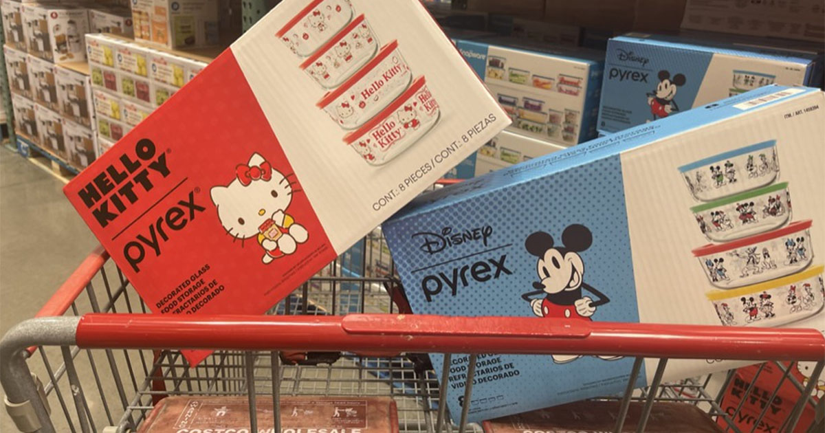 Pyrex 8-Piece Disney Mickey Mouse & Friends Decorated Food Storage Set –  Noahs Outlet