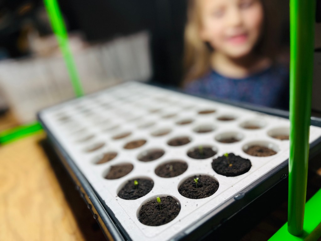 girl standing behind tray of seedlings