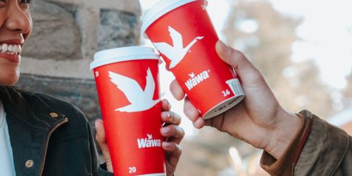 FREE Any Size Wawa Coffee + 60¢ Donuts & Bottled Iced Tea – Today Only!