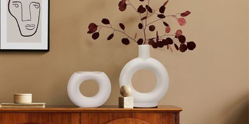 Nordic Ceramic Vase 2-Pack Only $21.59 Shipped on Amazon (Regularly $40)