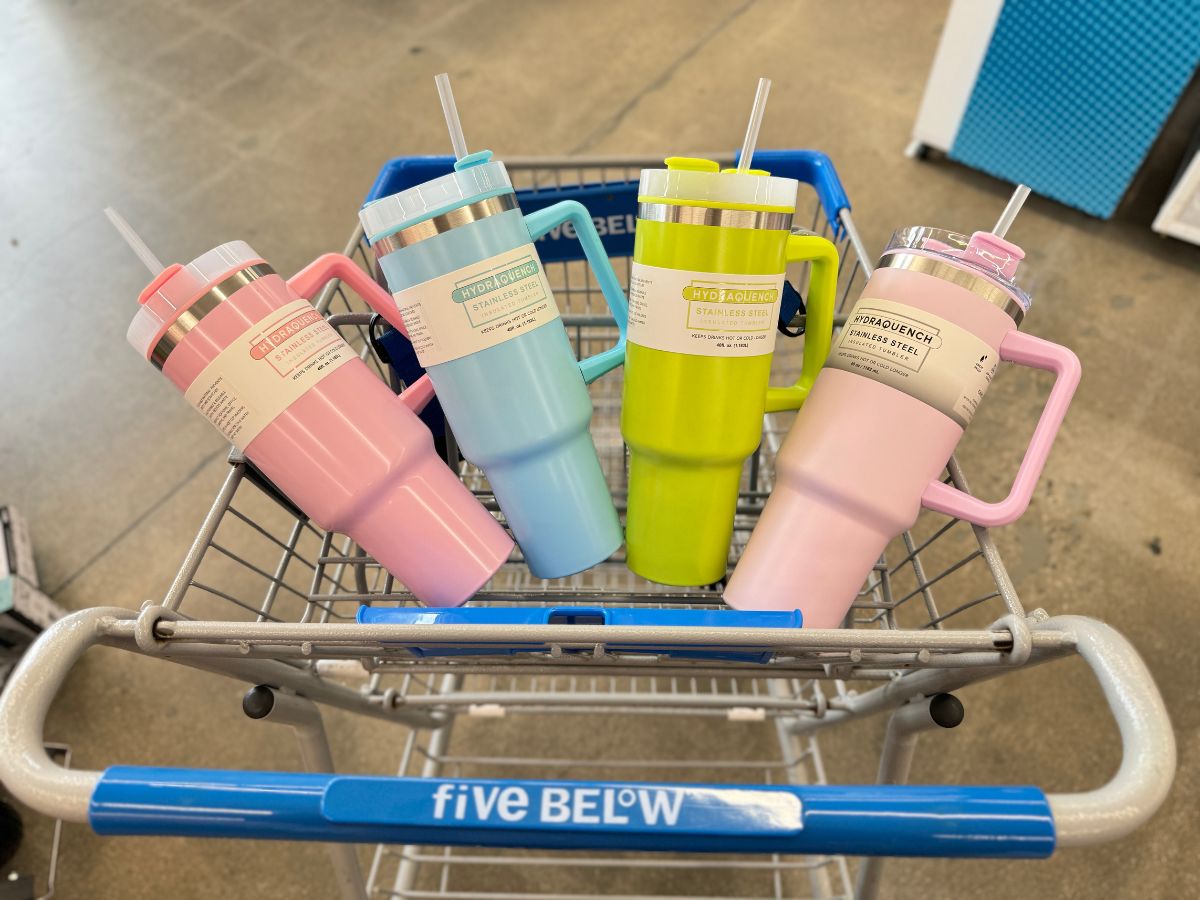 Five Below 40oz Insulated Stainless Steel Tumblers Only $5.55 (Great Gift for Mom)