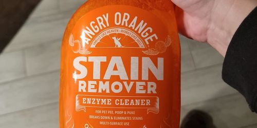 Angry Orange Pet Stain & Odor Eliminator Only $13.98 Shipped on Amazon (Regularly $30)