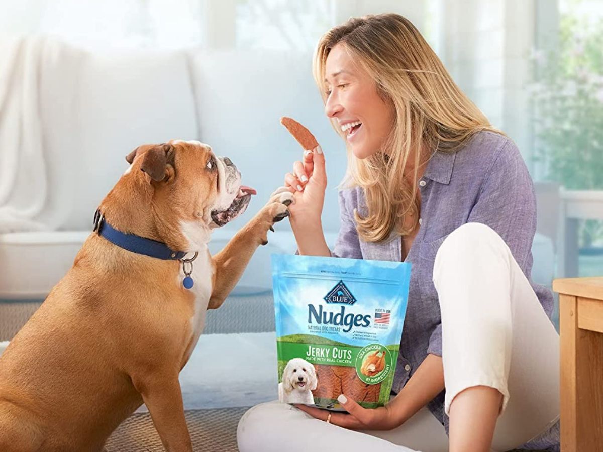 Up to 40% Off Blue Buffalo Dog Treats on Amazon | Prices from $9.57 Shipped