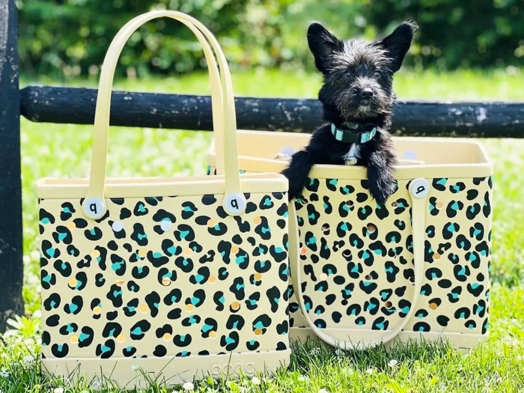 two leopard print bogg bags in grass with a dog inside one of them