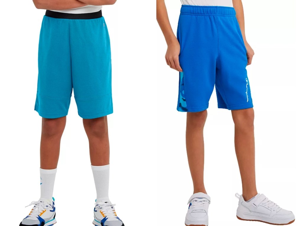 champion boys colorblock and terry shorts