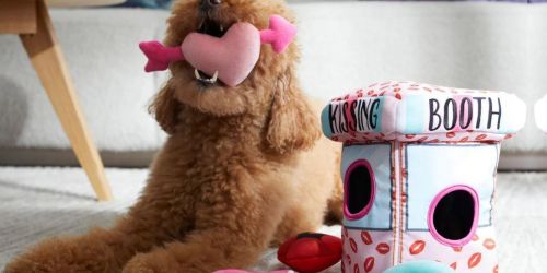 BOGO Free Valentine’s Day Pet Gifts on Chewy.com | Save on Plush Toys, Clothing, & More