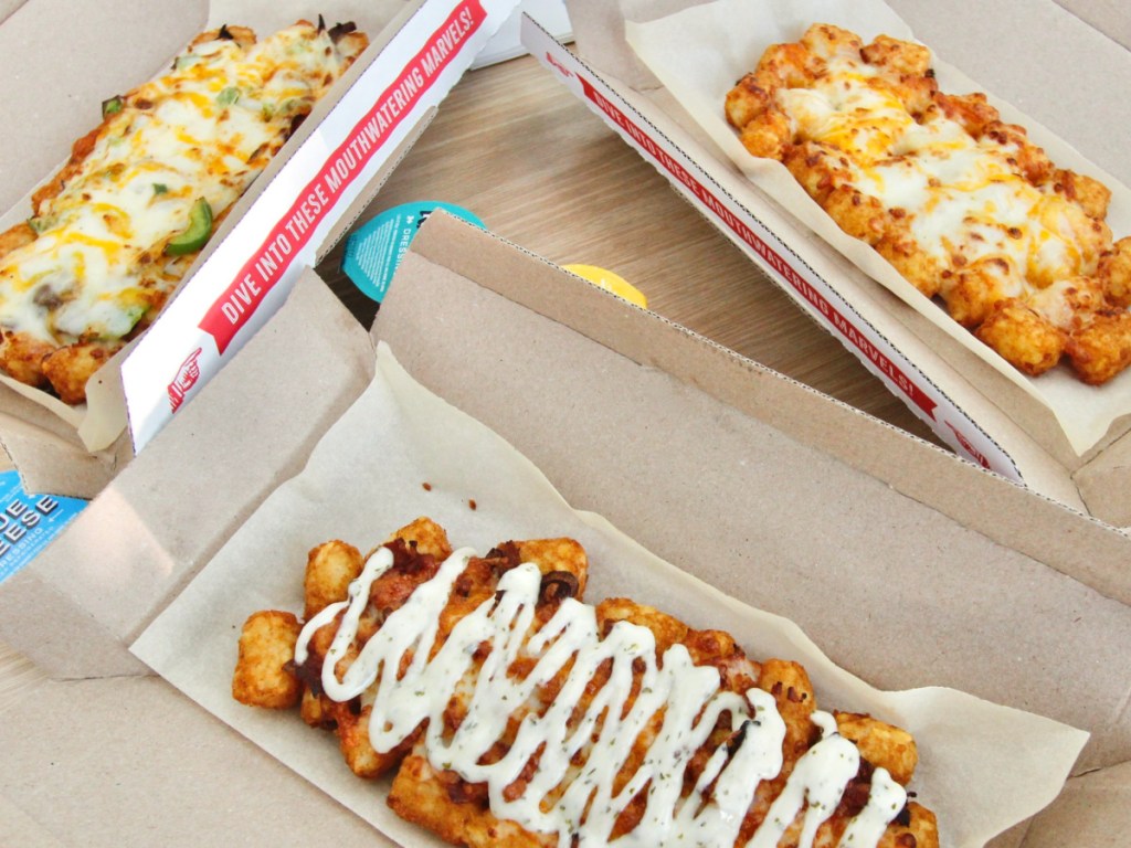 3 different varieties of Tater Tots from Domino's covered with ranch, cheese and other toppings