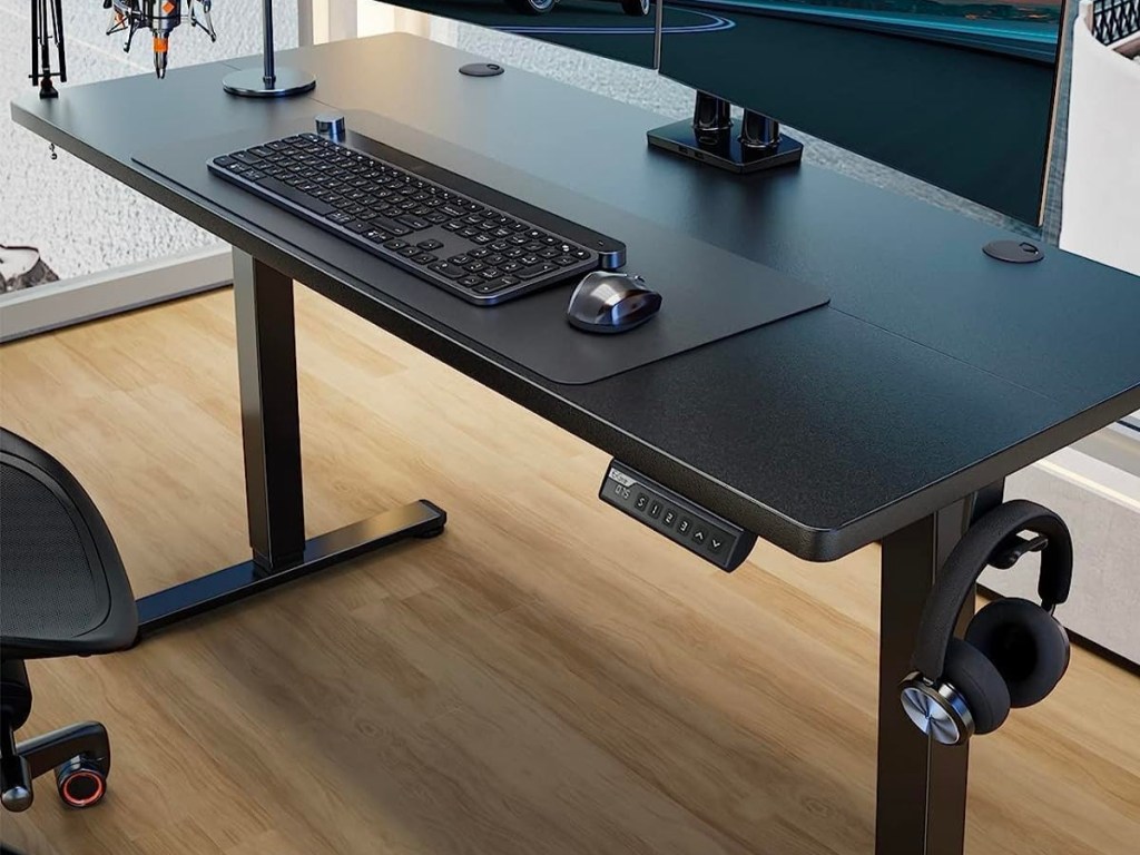 ErGear Height Adjustable Electric Standing Desk