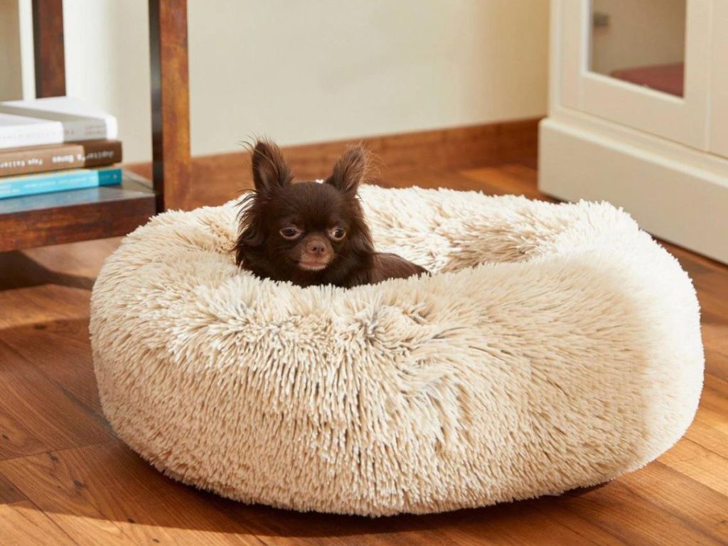 Frisco Eyelas Cat & Dog Small Bolster Bed in Sand