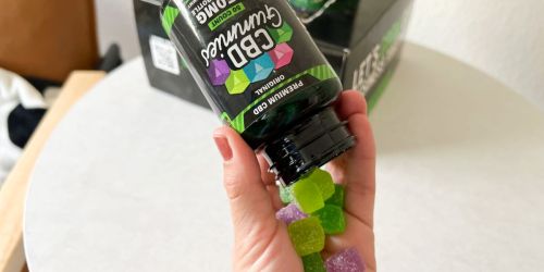 BOGO Free Hemp Bombs CBD Products (NEW Maximum Potency Sleep Gummies + More)