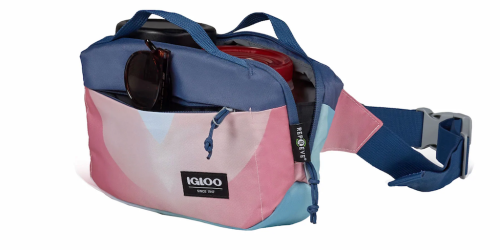 FREE Igloo Coolers Hip Pack w/ Purchase ($17.99 Value!)