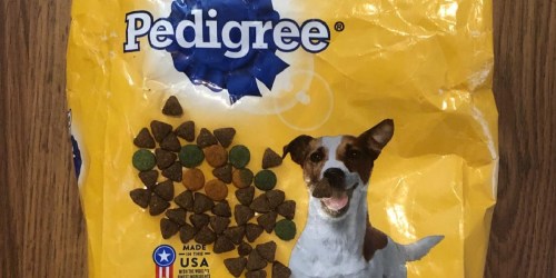 Pedigree Dry & Wet Dog Food from $3.41 Shipped on Amazon