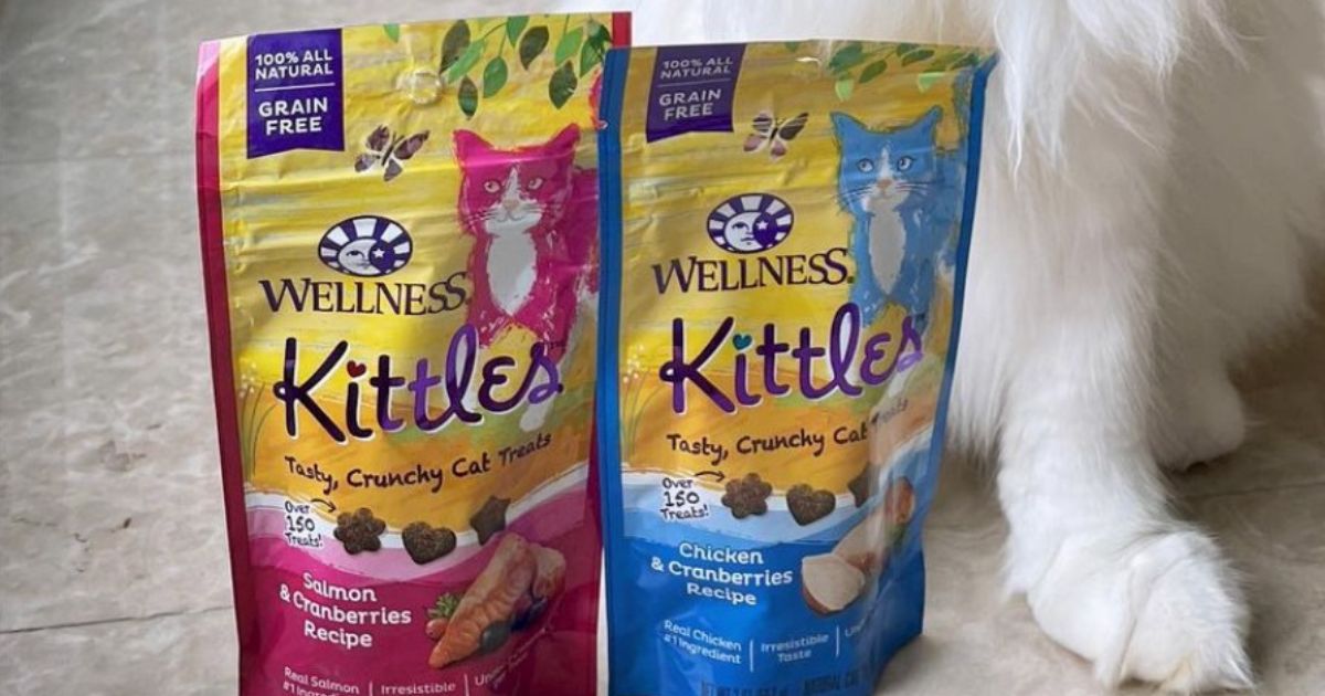 Wellness Kittles Grain-Free Cat Treats Just $1.79 Shipped on Amazon