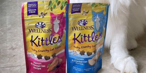 Wellness Kittles Grain-Free Cat Treats Just $1.79 Shipped on Amazon