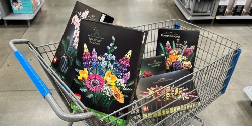 Save on the LEGO Botanical Collection (Prices from $9.99) | Great Mother’s Day Gift Idea!
