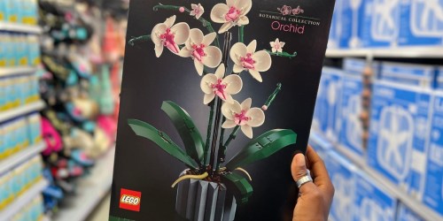 Macy’s LEGO Sale | Orchid Botanical House Only $39.99 Shipped + More!