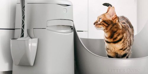 Litter Genie Easy Roll Cat Litter Disposal System Only $26 Shipped on Amazon (Regularly $35)