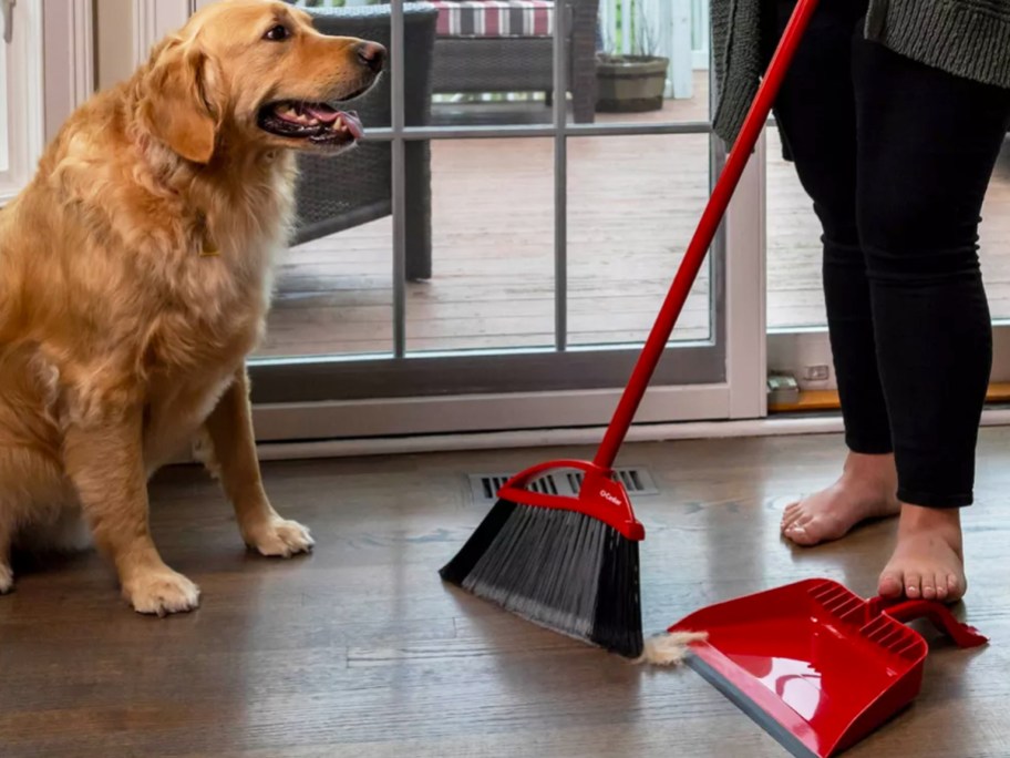 woman with broom and dustpan next to golden retriever