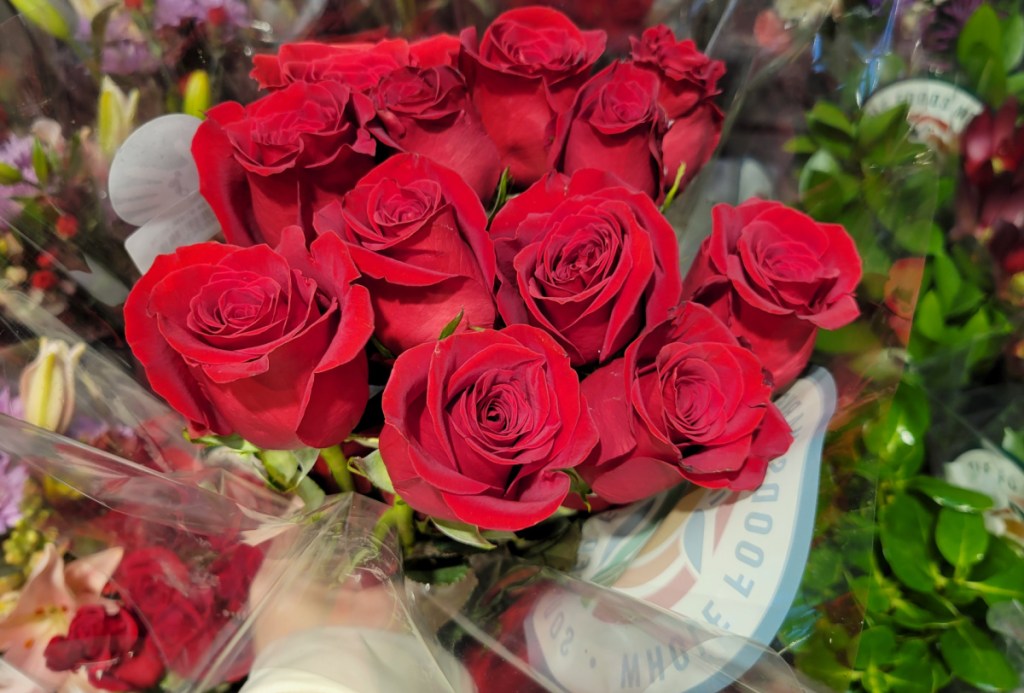large dozen roses in red in hand