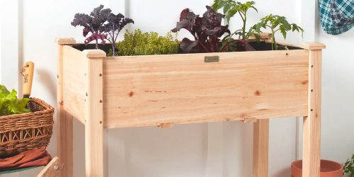 Raised Wood Garden Bed Only $69.99 Shipped | Great for Vegetables, Flowers, & Herbs