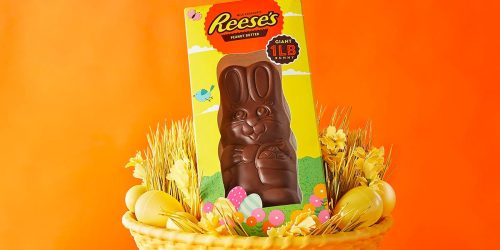 Reese’s 1-Pound Milk Chocolate Peanut Butter Bunny Only $9.98 on Amazon (Reg. $14)
