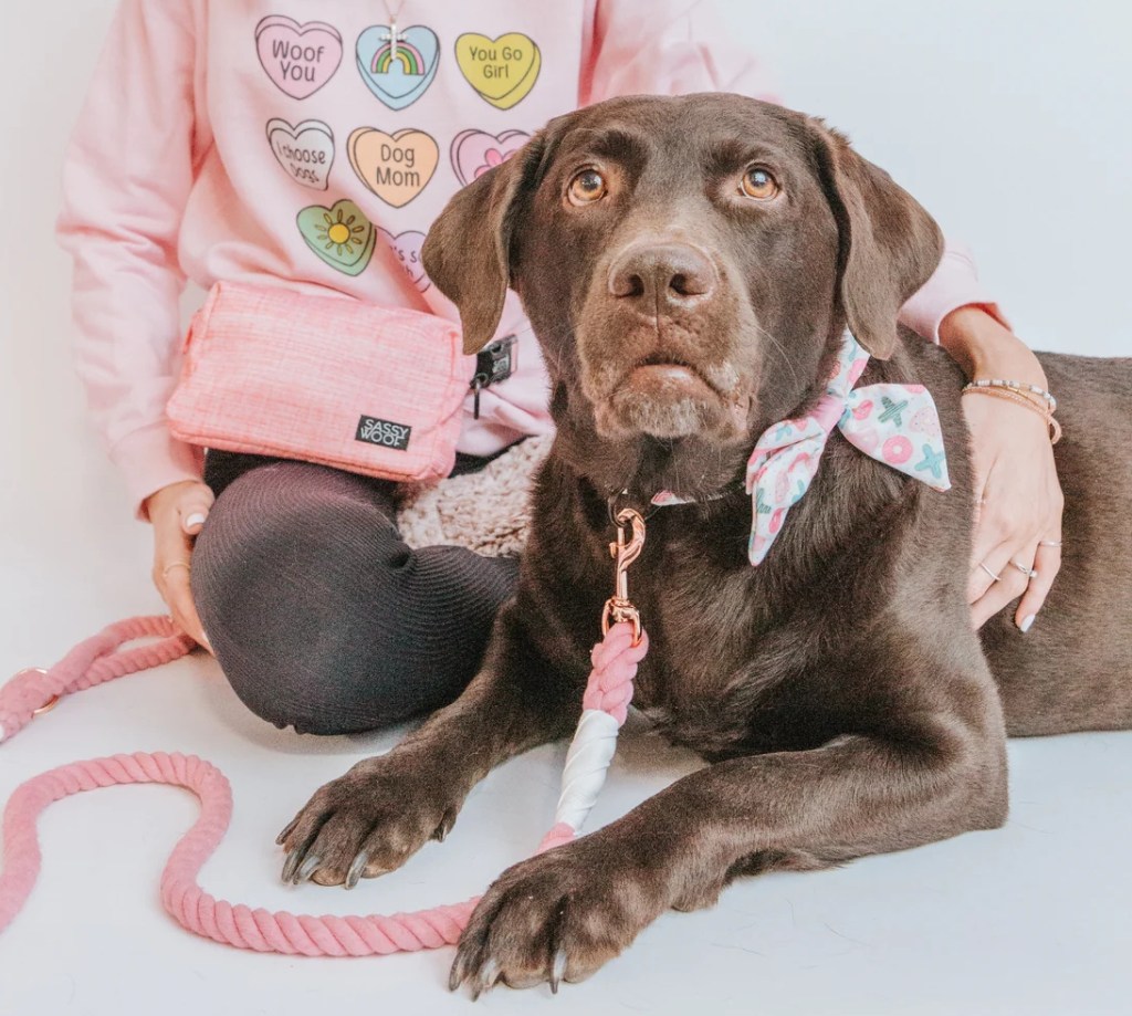 Woman sitting next to a dog wearing a leash