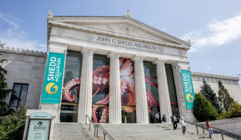 The Shedd Aquarium, one of the museums that gives SNAP and ebt card holders free admission or discounted admission