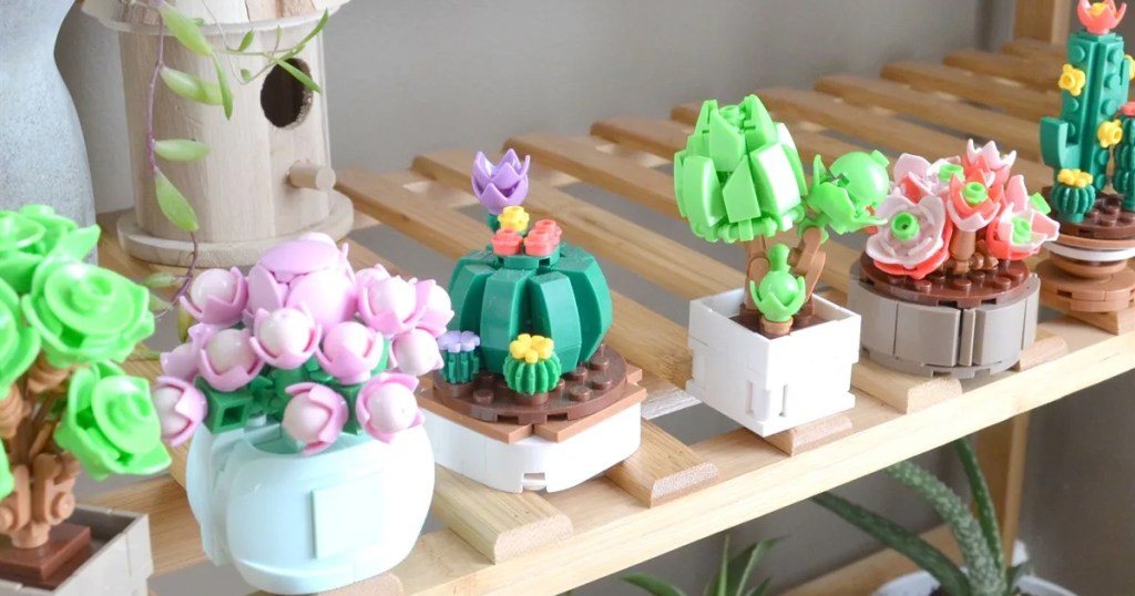 succulent building block sets on a wood shelf