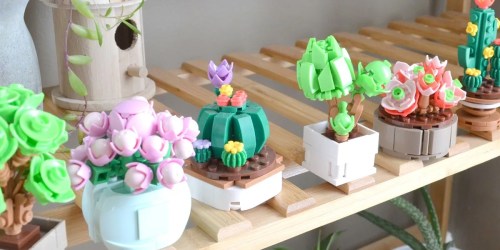 Building Block Succulent Sets Only $12.88 Shipped (Regularly $20)