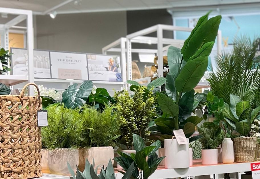 Display of fake plants at Target