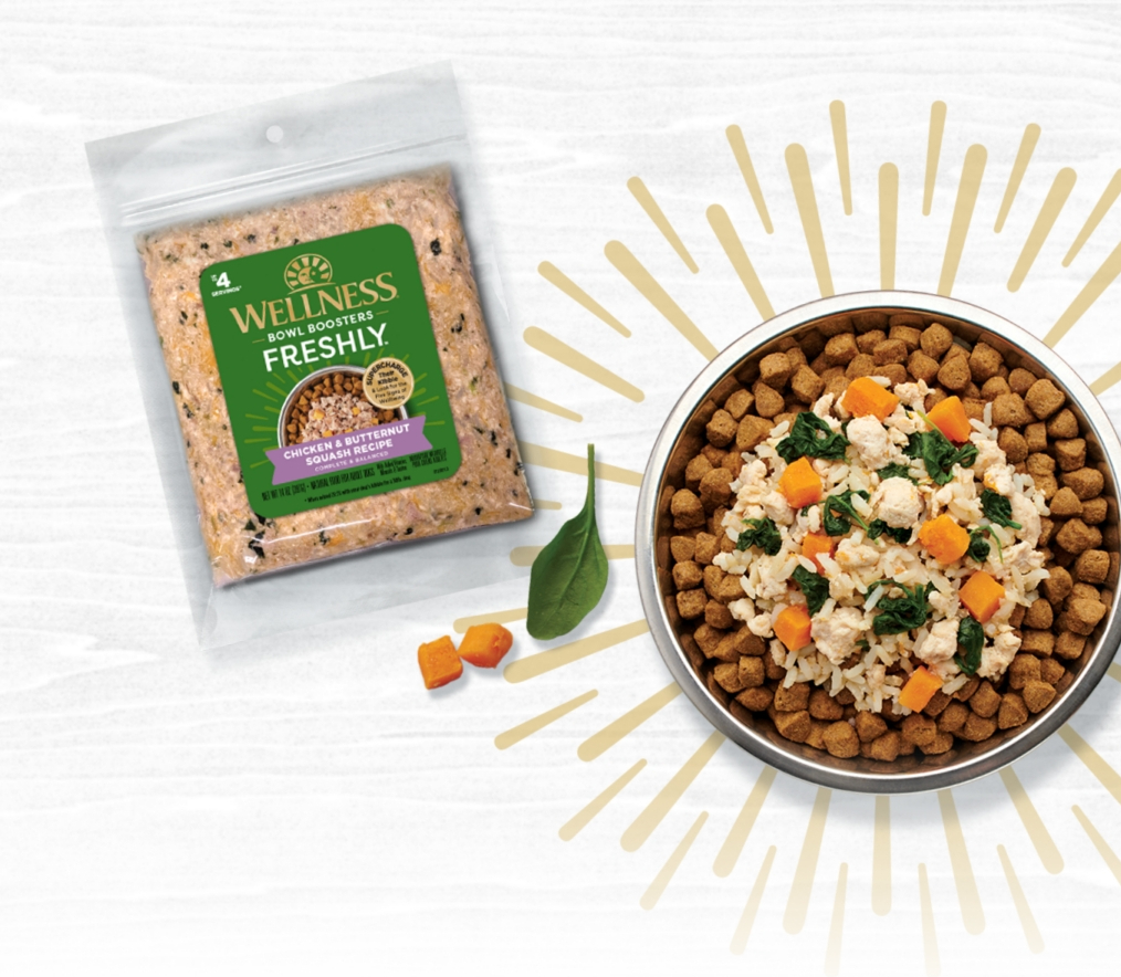 Pack of frozen dog food next to a bowl of dog food