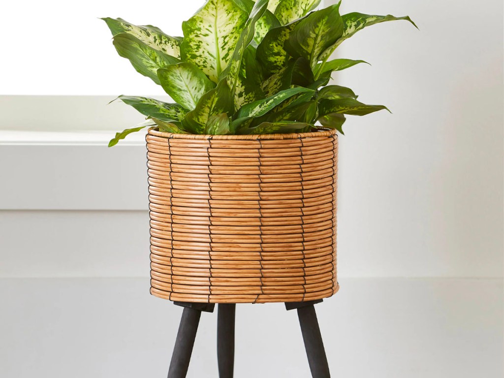 better homes and garden thurlow planter with black stand in living room