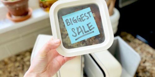 HOT Caraway Food Storage Sale | Rare Savings Over $100 OFF!