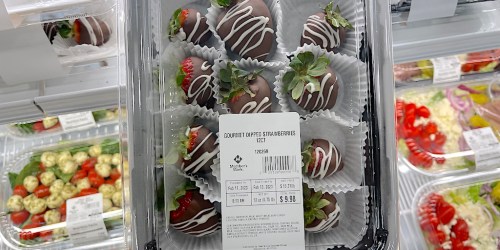 Sam’s Club Chocolate Covered Strawberries Only $9.98 (Sweet Gift for Valentine’s Day!)