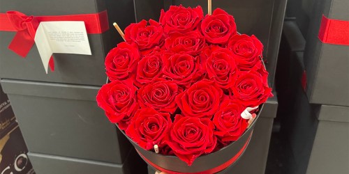 Forever Roses Last Up to a Year & Require No Watering | Score a 16-Stem Bouquet w/ Gift Box for $139.99 at Costco