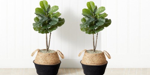Faux 3′ Fiddle Leaf Fig Tree w/ Basket From $24.99 Shipped (Regularly $50)
