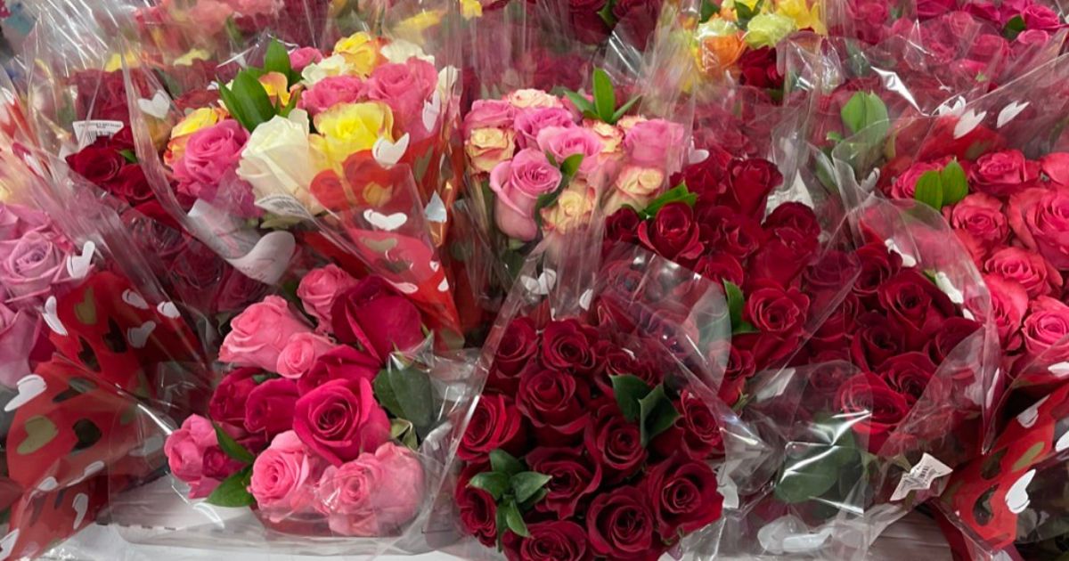 Sam's Club Flowers Review at Pam Calhoun blog